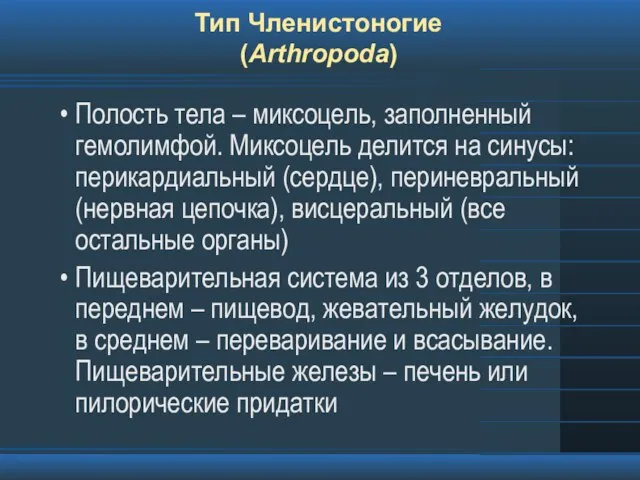 Тип Членистоногие (Arthropoda) Полость тела – миксоцель, заполненный гемолимфой. Миксоцель делится