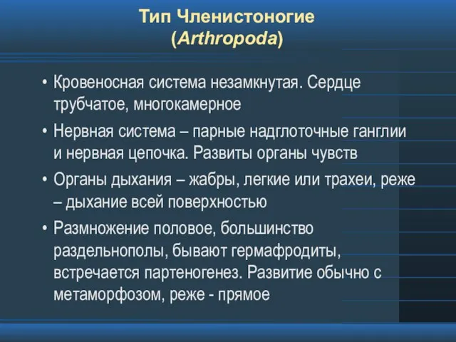 Тип Членистоногие (Arthropoda) Кровеносная система незамкнутая. Сердце трубчатое, многокамерное Нервная система