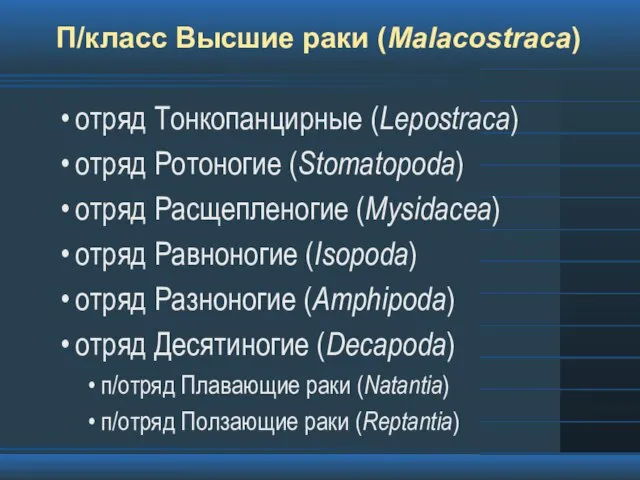 П/класс Высшие раки (Malacostraca) отряд Тонкопанцирные (Lepostraca) отряд Ротоногие (Stomatopoda) отряд