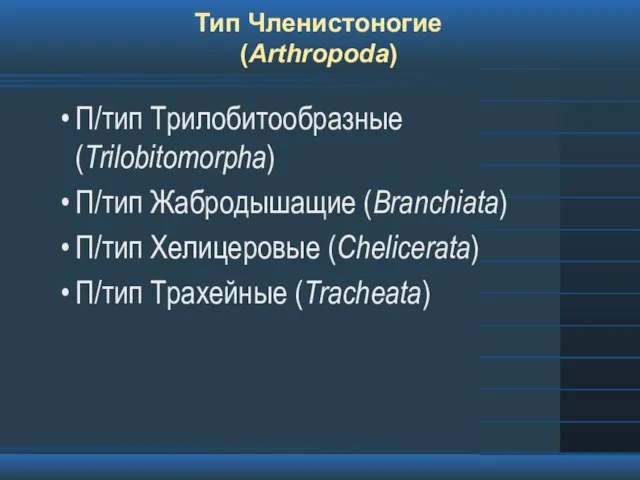 Тип Членистоногие (Arthropoda) П/тип Трилобитообразные (Trilobitomorpha) П/тип Жабродышащие (Branchiata) П/тип Хелицеровые (Chelicerata) П/тип Трахейные (Tracheata)