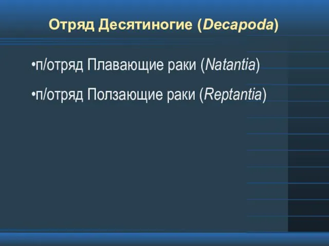 Отряд Десятиногие (Decapoda) п/отряд Плавающие раки (Natantia) п/отряд Ползающие раки (Reptantia)