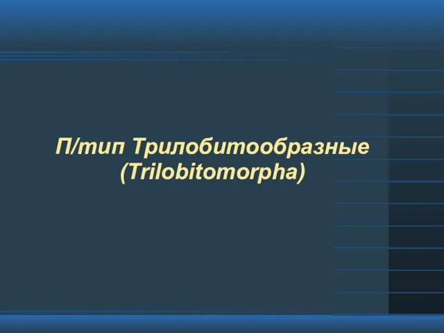 П/тип Трилобитообразные (Trilobitomorpha)