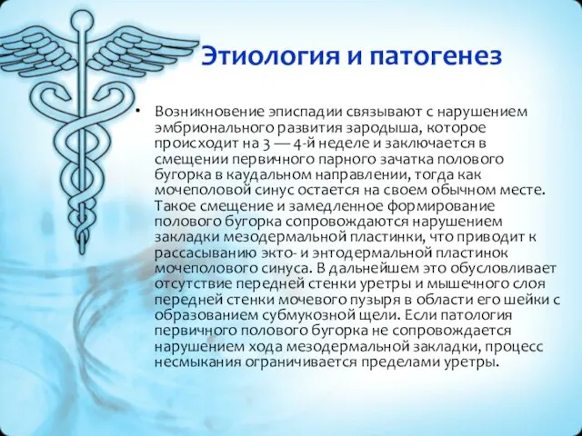 Этиология и патогенез Возникновение эписпадии связывают с нарушением эмбрионального развития зародыша,