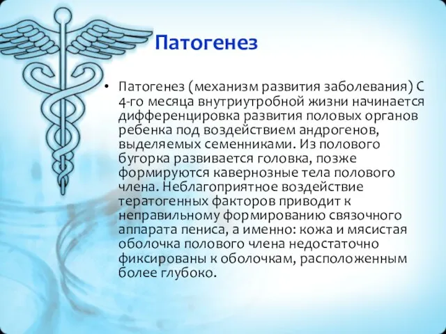 Патогенез Патогенез (механизм развития заболевания) С 4-го месяца внутриутробной жизни начинается