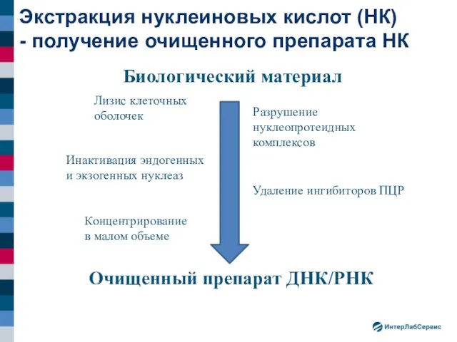 Экстракция нуклеиновых кислот (НК) - получение очищенного препарата НК