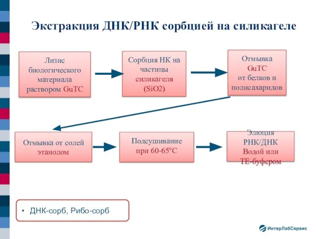 Экстракция ДНК/РНК сорбцией на силикагеле Отмывка от солей этанолом Элюция РНК/ДНК