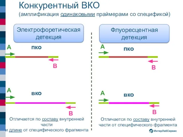 Конкурентный ВКО (амплификация одинаковыми праймерами со спецификой) А А В пко