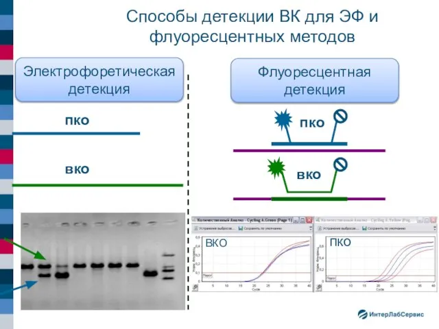 Способы детекции ВК для ЭФ и флуоресцентных методов пко вко пко