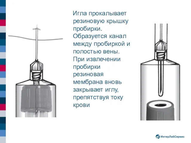 Игла прокалывает резиновую крышку пробирки. Образуется канал между пробиркой и полостью