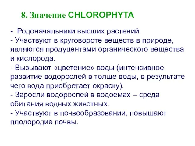 - Родоначальники высших растений. - Участвуют в круговороте веществ в природе,