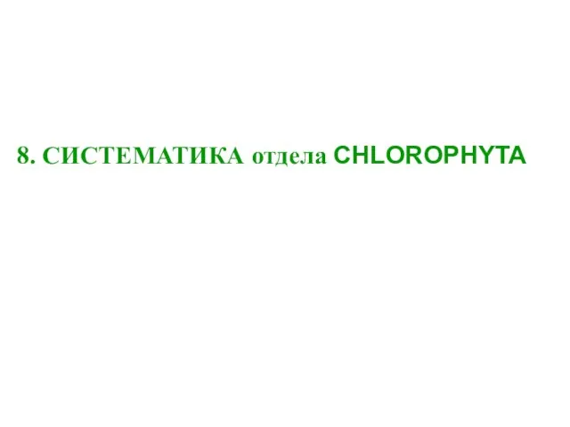 8. СИСТЕМАТИКА отдела CHLOROPHYTA