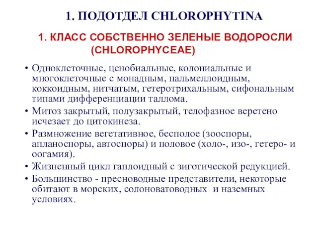 1. КЛАСС СОБСТВЕННО ЗЕЛЕНЫЕ ВОДОРОСЛИ (CHLOROPHYCEAE) 1. ПОДОТДЕЛ CHLOROPHYTINA Одноклеточные, ценобиальные,