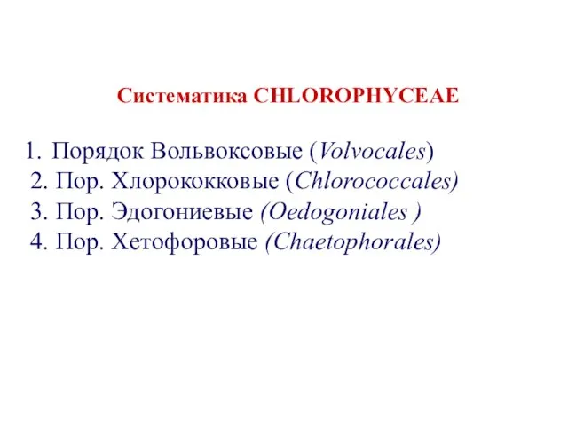 Систематика CHLOROPHYCEAE Порядок Вольвоксовые (Volvocales) 2. Пор. Хлорококковые (Chlorococcales) 3. Пор.