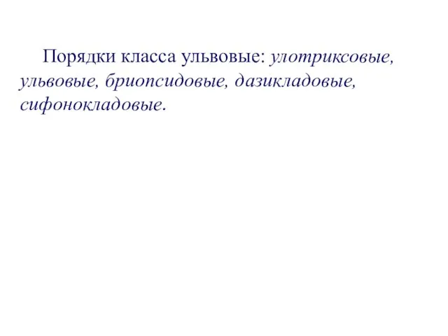 Порядки класса ульвовые: улотриксовые, ульвовые, бриопсидовые, дазикладовые, сифонокладовые.