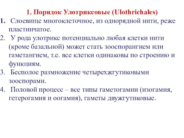 1. Порядок Улотриксовые (Ulothrichales) Слоевище многоклеточное, из однорядной нити, реже пластинчатое.