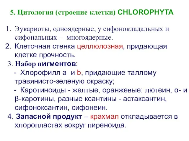 Эукариоты, одноядерные, у сифонокладальных и сифональных – многоядерные. Клеточная стенка целлюлозная,