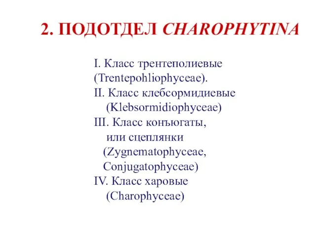 2. ПОДОТДЕЛ CHAROPHYTINA I. Класс трентеполиевые (Trentepohliophyceae). II. Класс клебсормидиевые (Klebsormidiophyceae)