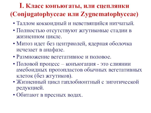 Таллом коккоидный и неветвящийся нитчатый. Полностью отсутствуют жгутиковые стадии в жизненном