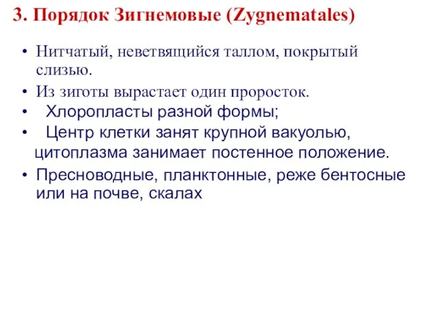 3. Порядок Зигнемовые (Zygnematales) Нитчатый, неветвящийся таллом, покрытый слизью. Из зиготы