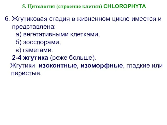 6. Жгутиковая стадия в жизненном цикле имеется и представлена: а) вегетативными