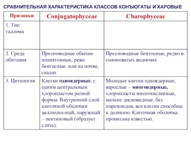 СРАВНИТЕЛЬНАЯ ХАРАКТЕРИСТИКА КЛАССОВ КОНЪЮГАТЫ И ХАРОВЫЕ