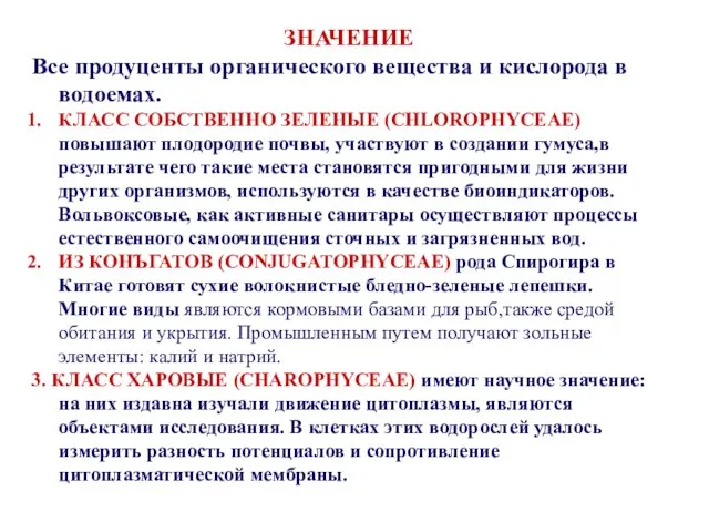 ЗНАЧЕНИЕ Все продуценты органического вещества и кислорода в водоемах. КЛАСС СОБСТВЕННО