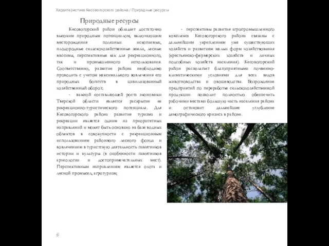 Характеристика Кесовогорского района / Природные ресурсы Кесовогорский район обладает достаточно высоким