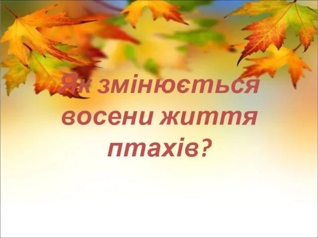 Як змінюється восени життя птахів?