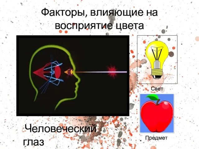 Факторы, влияющие на восприятие цвета Человеческий глаз Свет Предмет