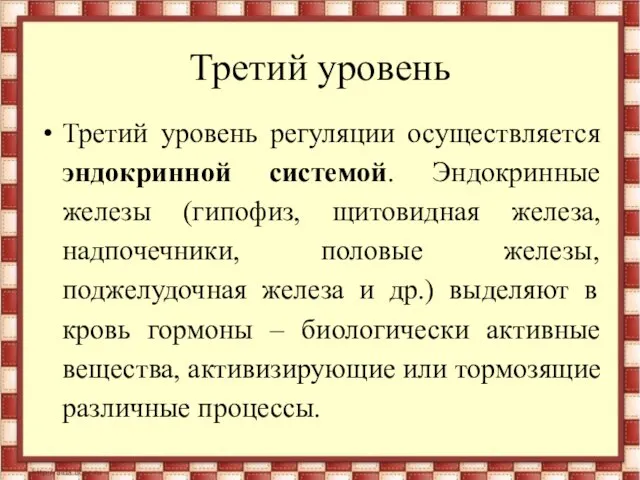 Третий уровень Третий уровень регуляции осуществляется эндокринной системой. Эндокринные железы (гипофиз,