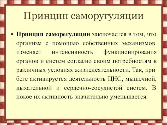 Принцип саморугуляции Принцип саморегуляции заключается в том, что организм с помощью