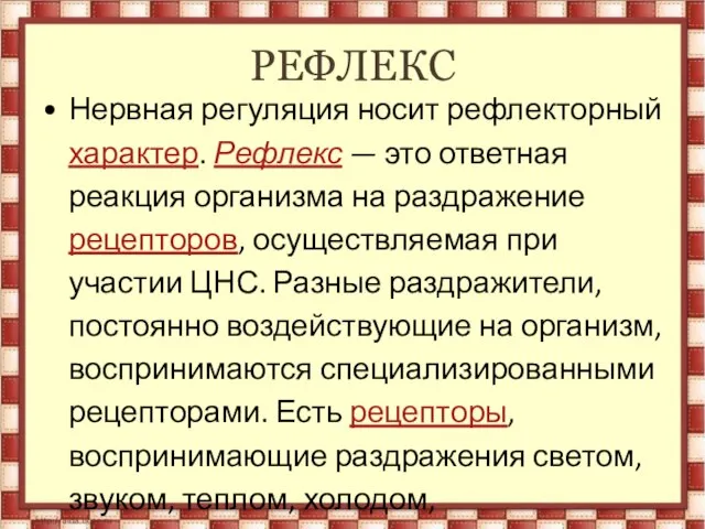 РЕФЛЕКС Нервная регуляция носит рефлекторный характер. Рефлекс — это ответная реакция