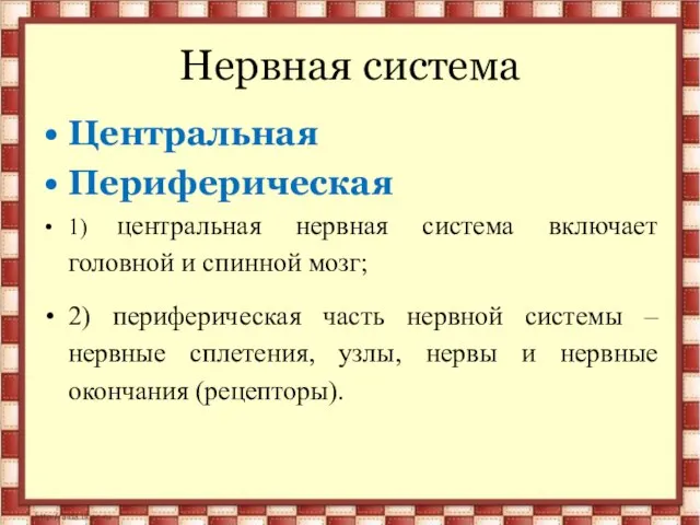 Центральная Периферическая 1) центральная нервная система включает головной и спинной мозг;