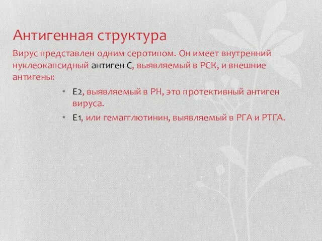 Антигенная структура Вирус представлен одним серотипом. Он имеет внутренний нуклеокапсидный антиген