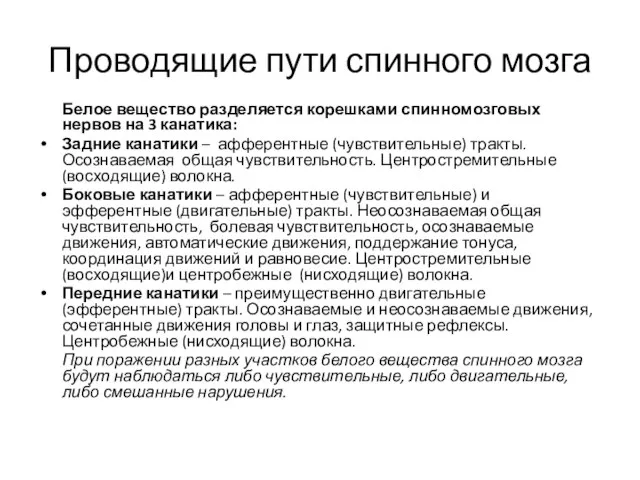 Проводящие пути спинного мозга Белое вещество разделяется корешками спинномозговых нервов на