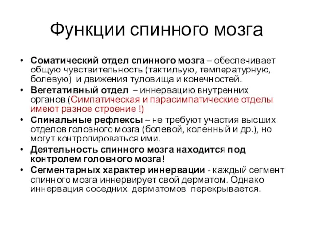 Функции спинного мозга Соматический отдел спинного мозга – обеспечивает общую чувствительность