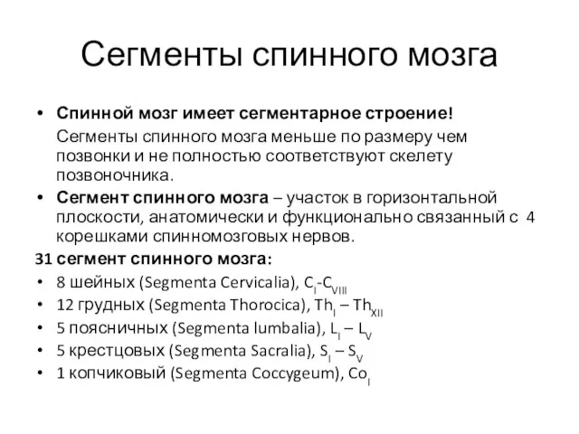 Сегменты спинного мозга Спинной мозг имеет сегментарное строение! Сегменты спинного мозга