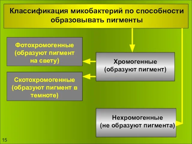 Классификация микобактерий по способности образовывать пигменты Фотохромогенные (образуют пигмент на свету)