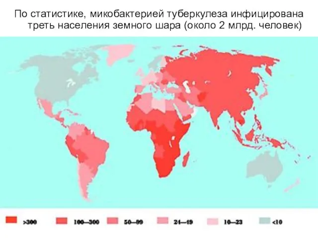 По статистике, микобактерией туберкулеза инфицирована треть населения земного шара (около 2 млрд. человек)