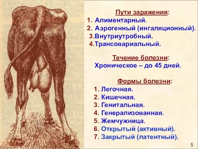 Формы болезни: 1. Легочная. 2. Кишечная. 3. Генитальная. 4. Генерализованная. 5.