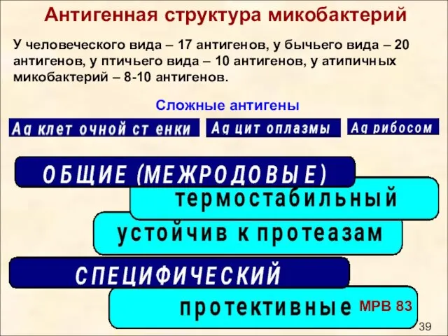 Антигенная структура микобактерий У человеческого вида – 17 антигенов, у бычьего