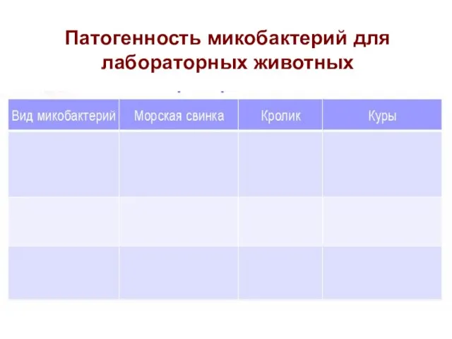 Патогенность микобактерий для лабораторных животных