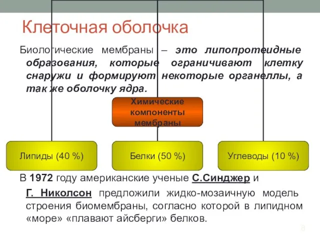 Клеточная оболочка Биологические мембраны – это липопротеидные образования, которые ограничивают клетку