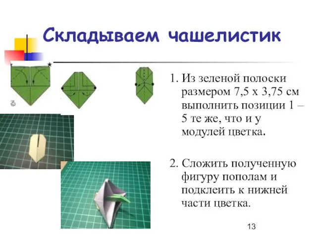 Складываем чашелистик 1. Из зеленой полоски размером 7,5 х 3,75 см