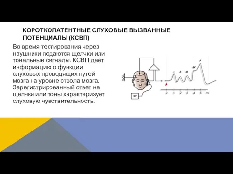 Во время тестирования через наушники подаются щелчки или тональные сигналы. КСВП