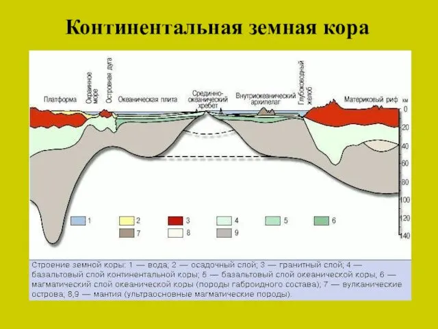 Континентальная земная кора