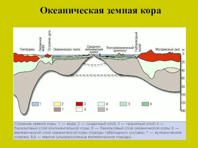 Океаническая земная кора