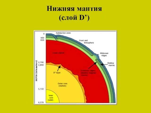 Нижняя мантия (слой D’)