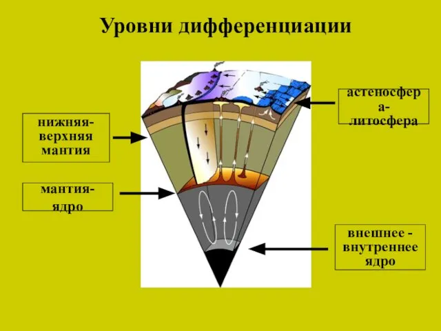 Уровни дифференциации мантия-ядро внешнее - внутреннее ядро нижняя- верхняя мантия астеносфера- литосфера