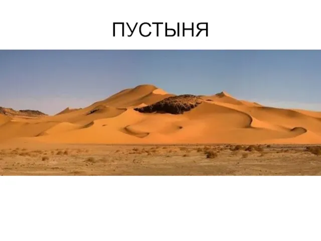 ПУСТЫНЯ